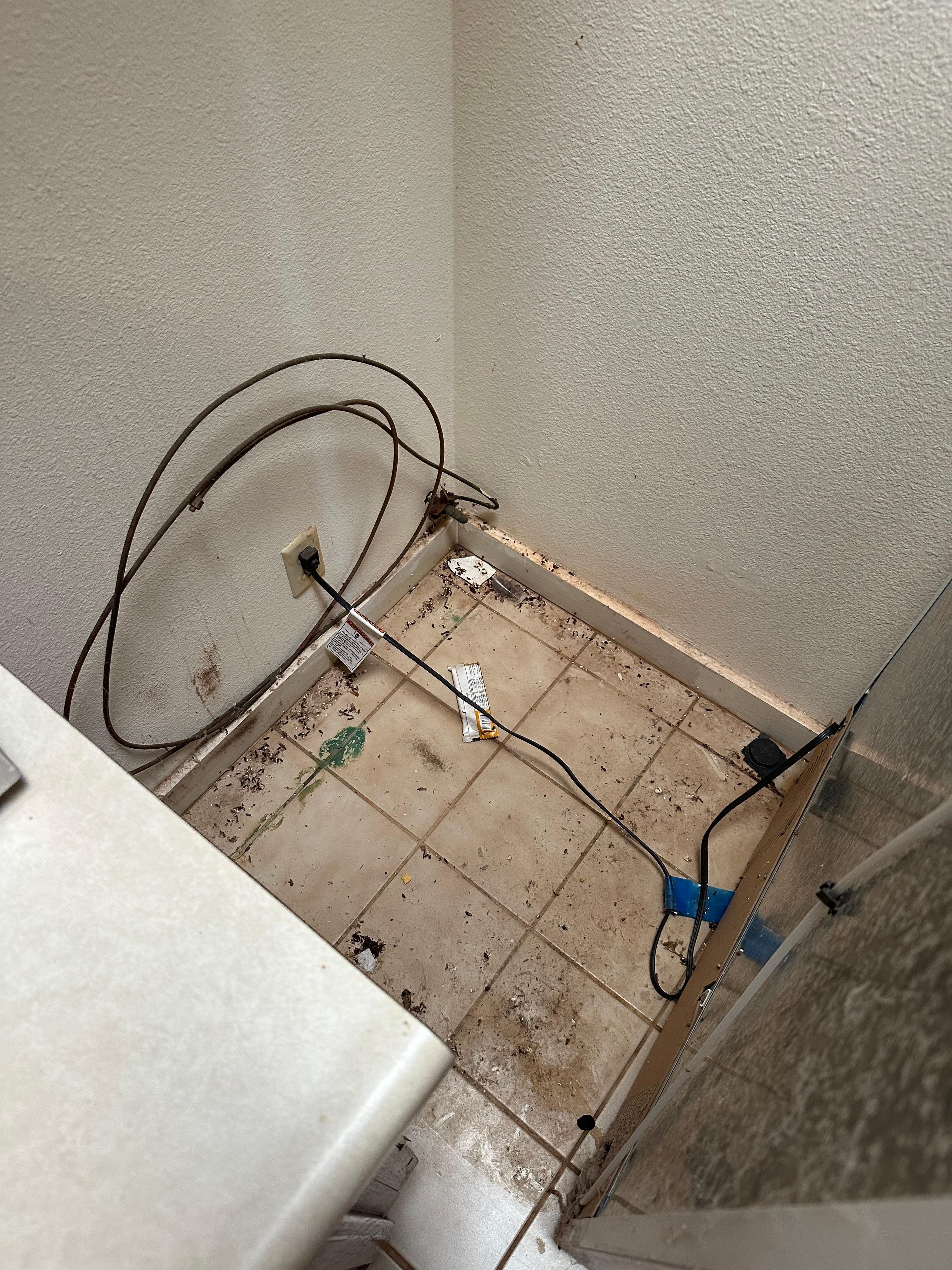 Disgusting evidence of infestation