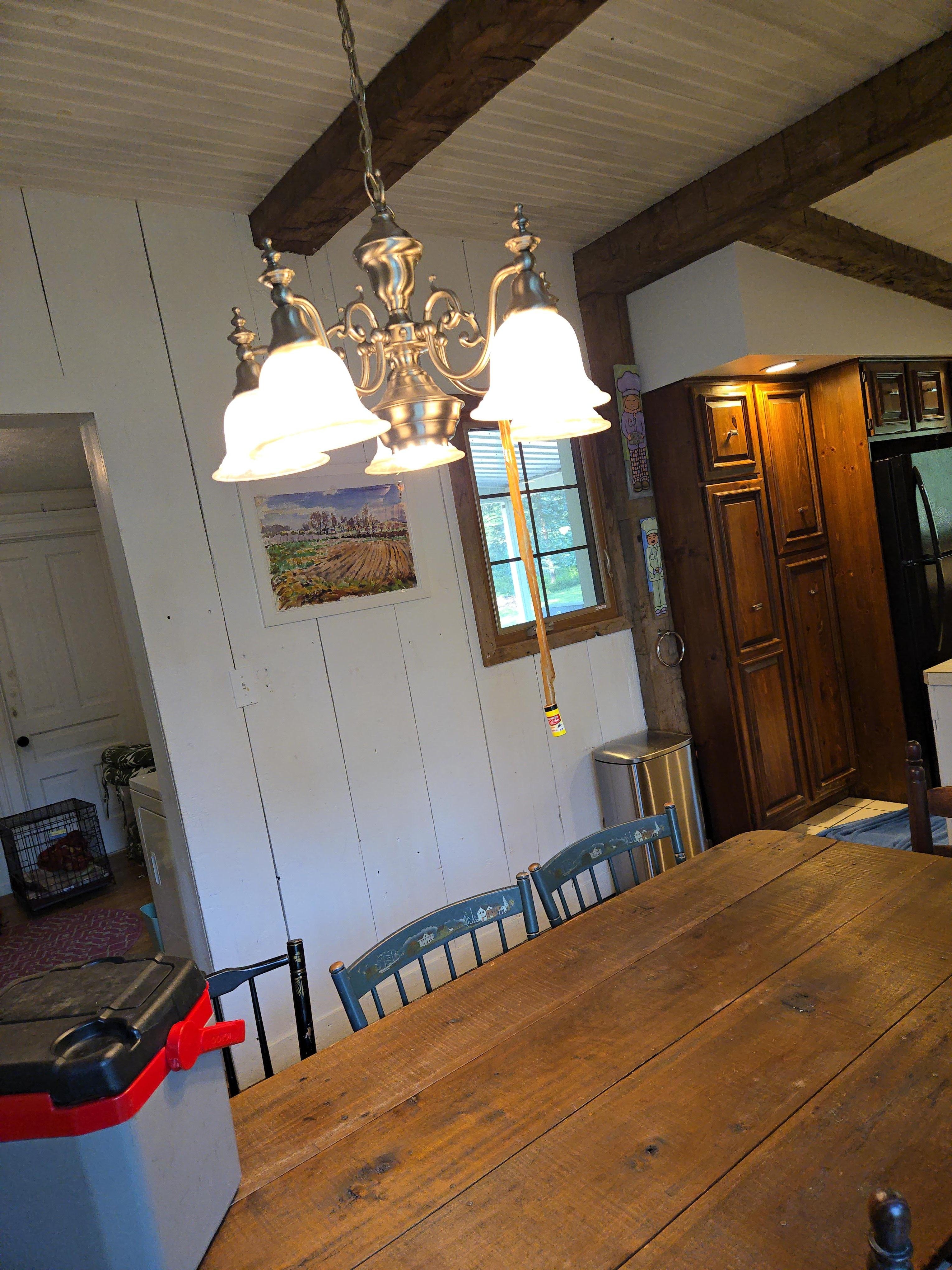 Fly strips hanging in the kitchen with dead flies