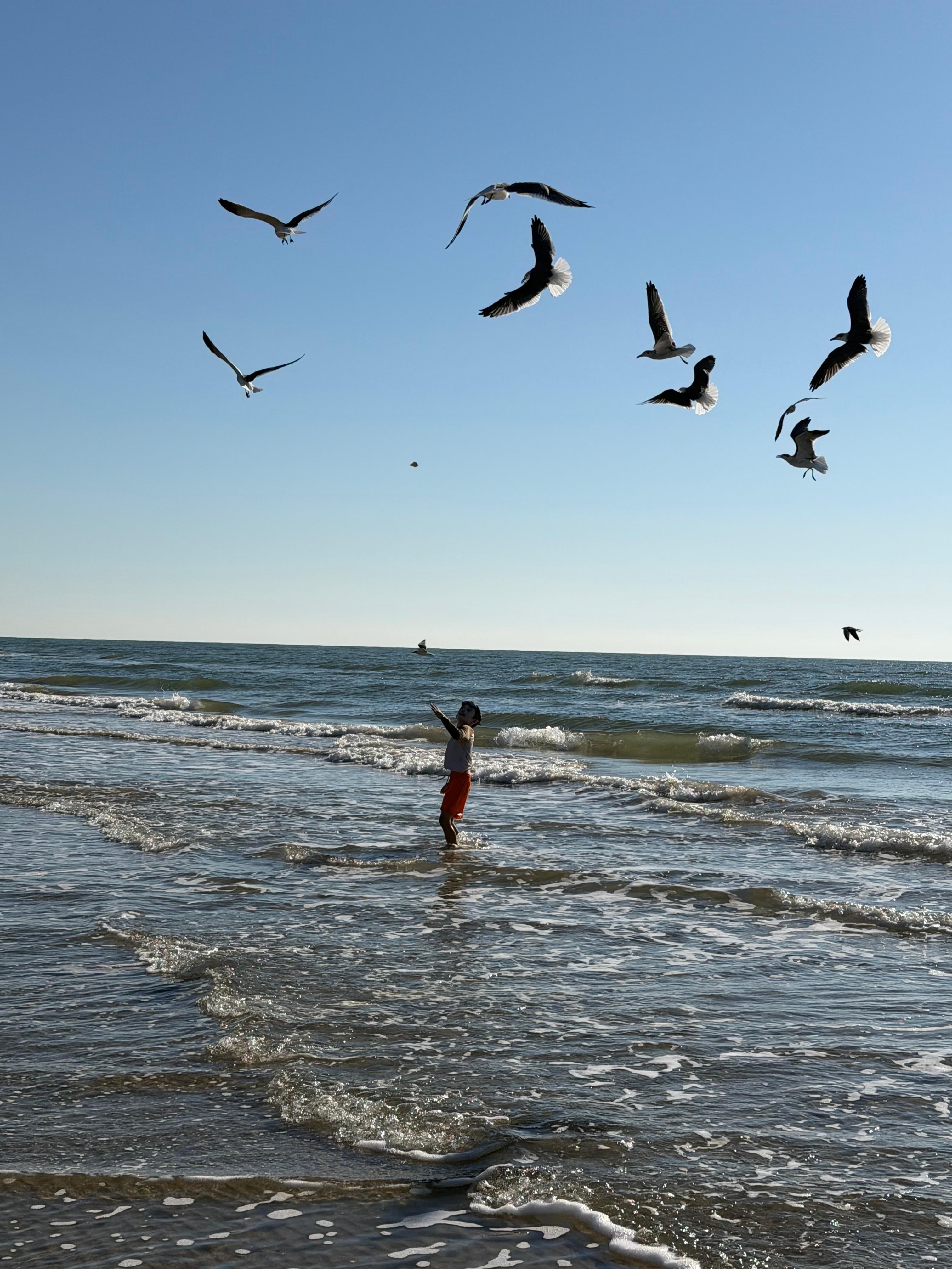 Dancing with the sea gulls. 