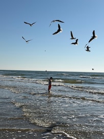 Dancing with the sea gulls.