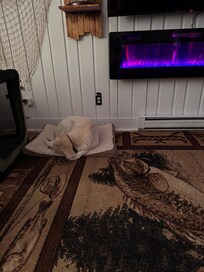 Our dog was comfy and happy to travel with us! Thank you Tyler for inviting our fur baby!