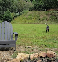 Playing fetch in the large yard. No fence, but it does feel private.