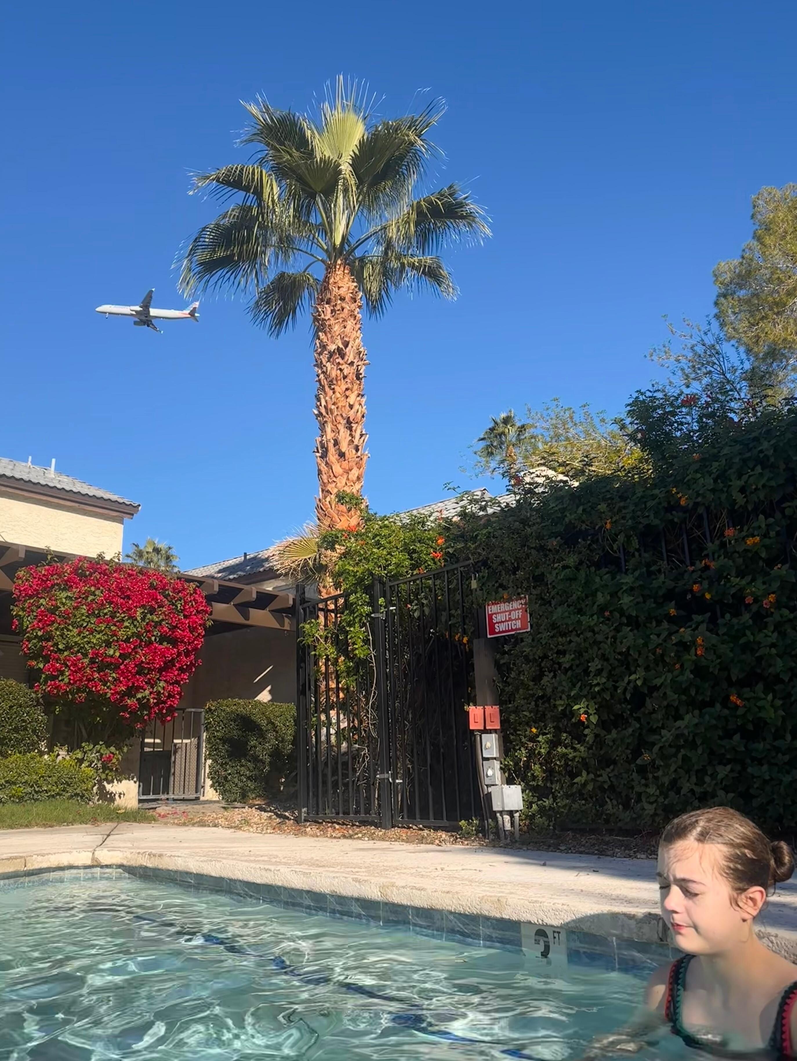 Palm Springs perfection 