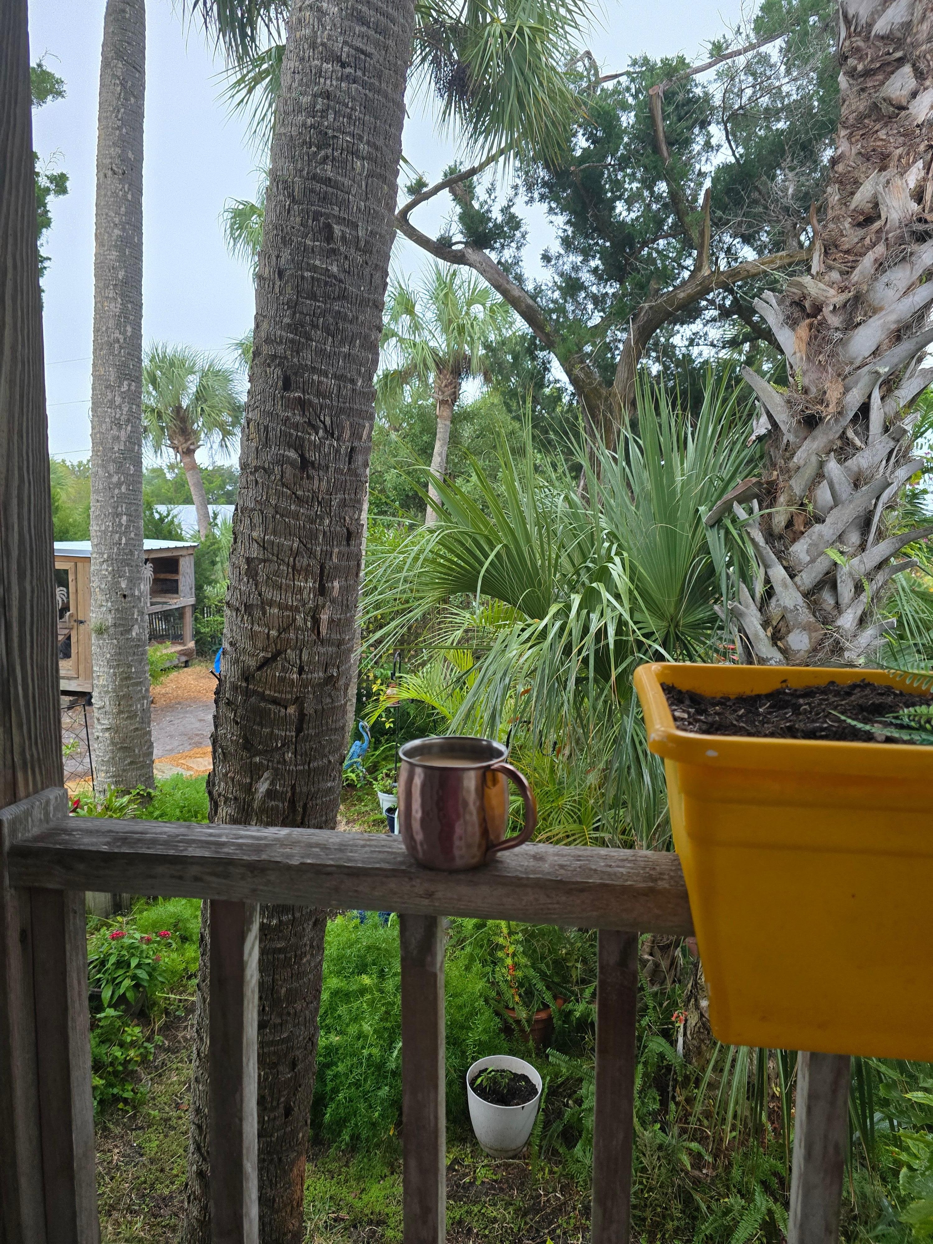 Had my coffee in peace in a rocking chair 