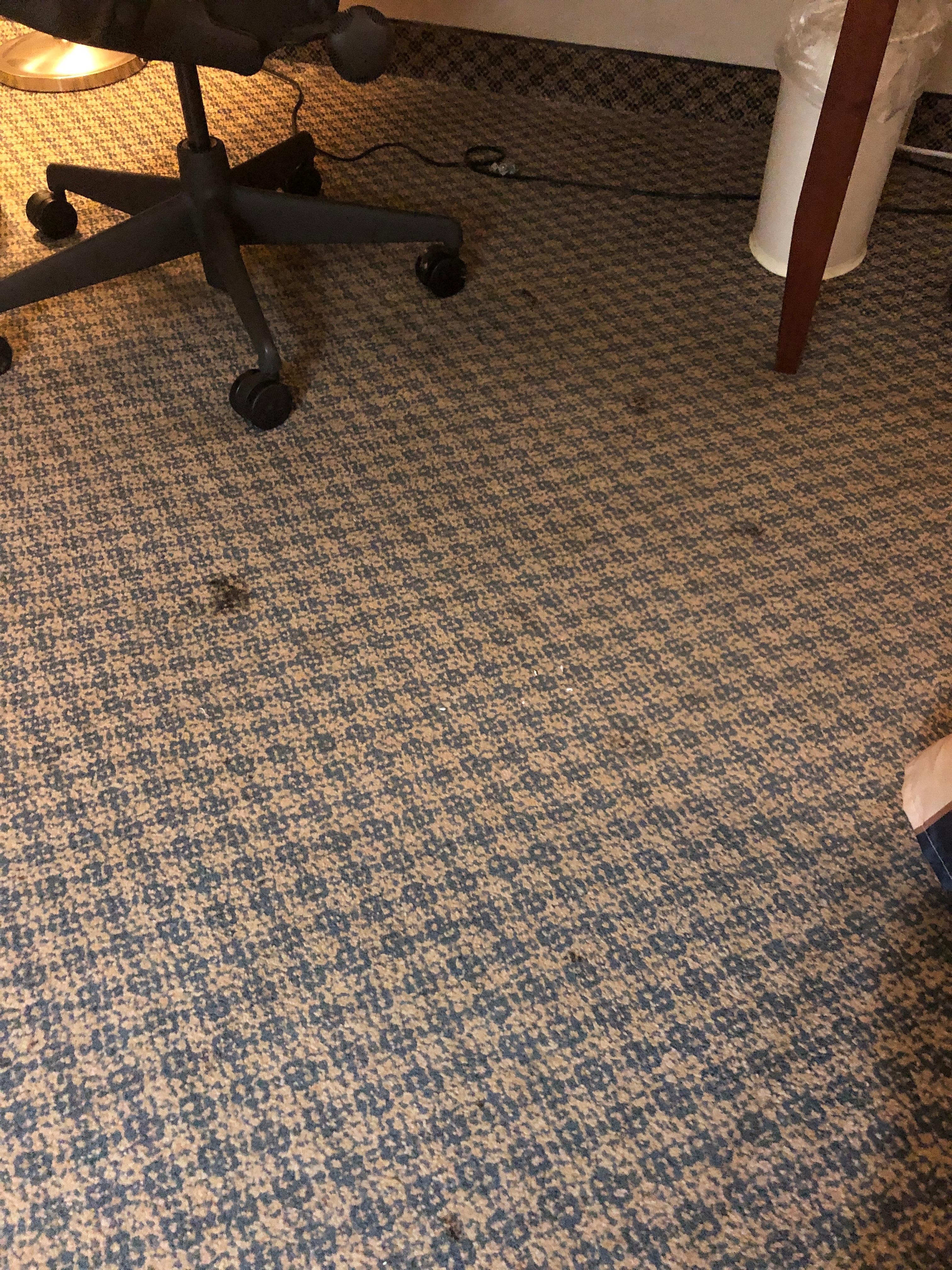 Stains in carpets a/c did not work
No remote for tv