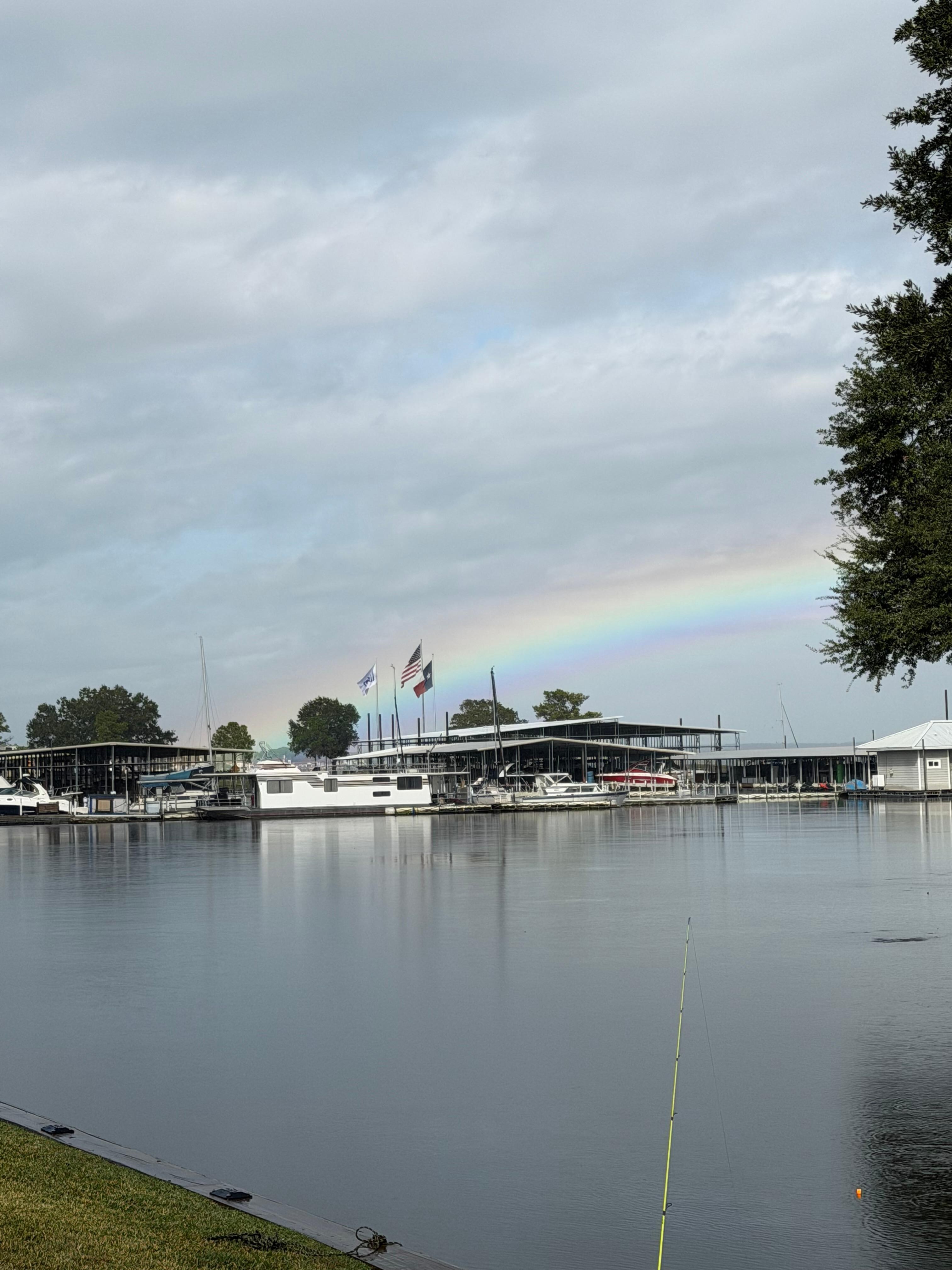 Storm came through and this was our view from the back patio. 