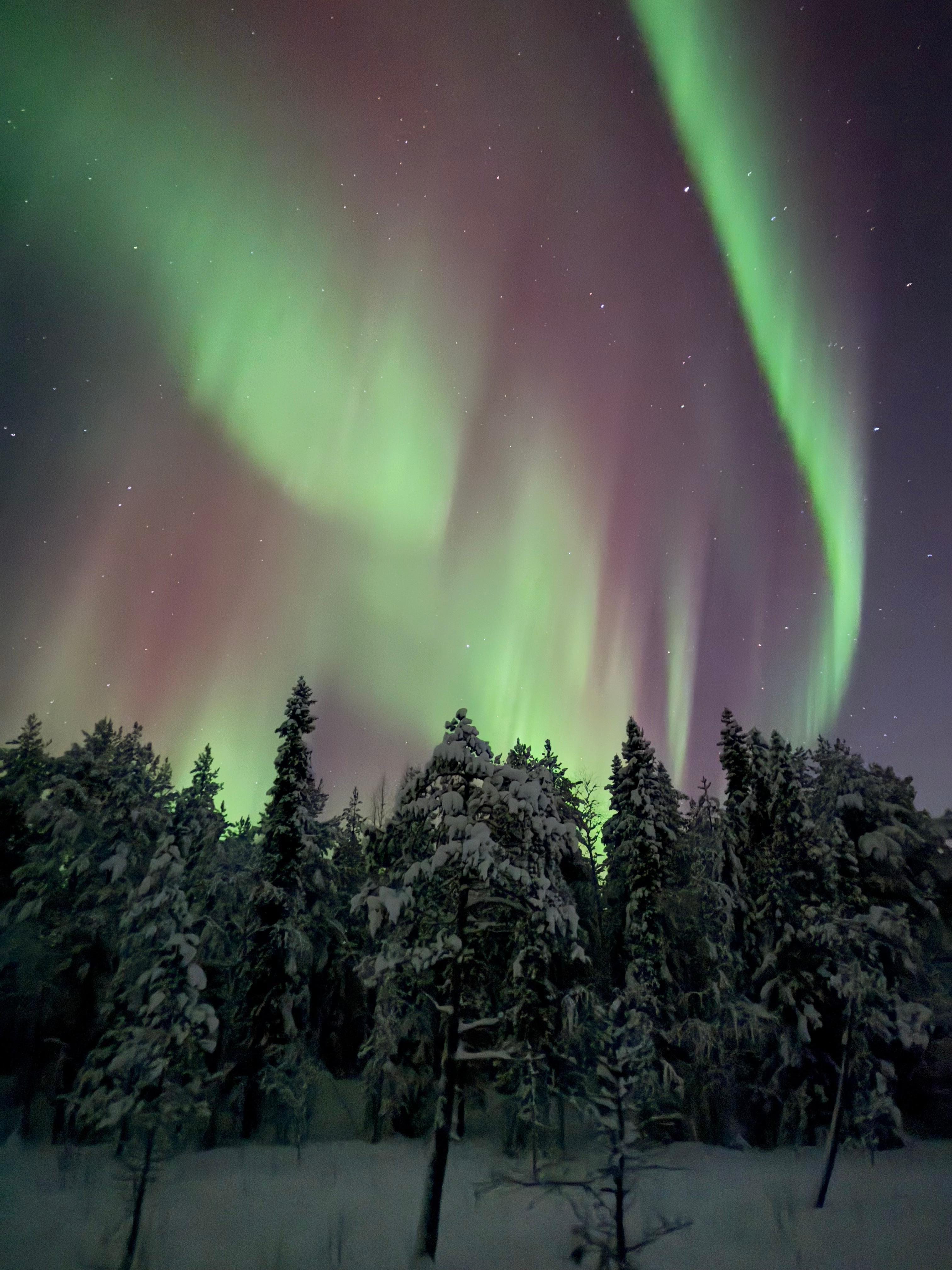 Beautiful area on the hotel property to observe the northern lights