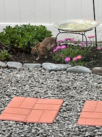 Hopefully this is part of the movie I took of Jodi’s place.