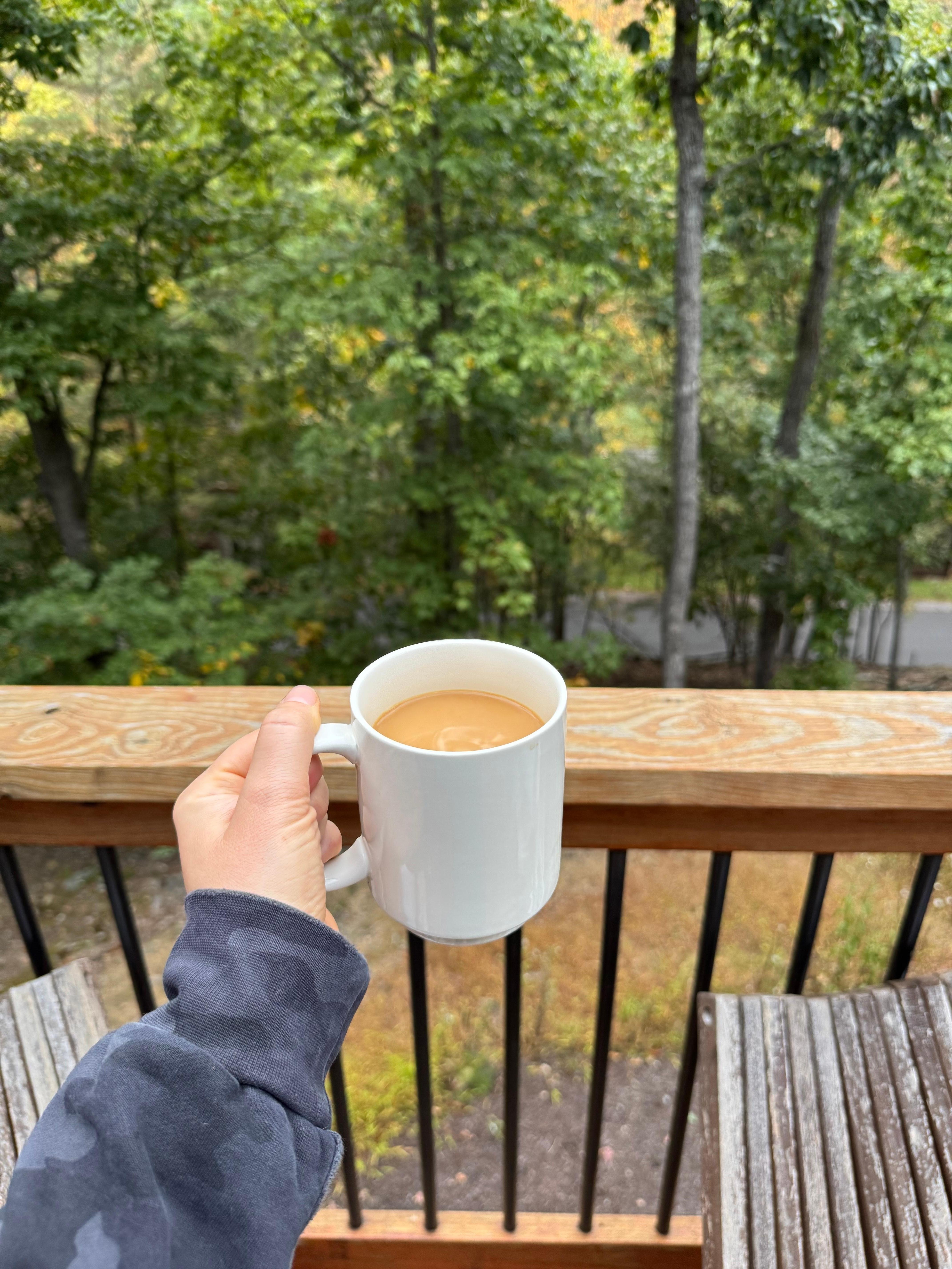 Our view from from the deck in the morning 