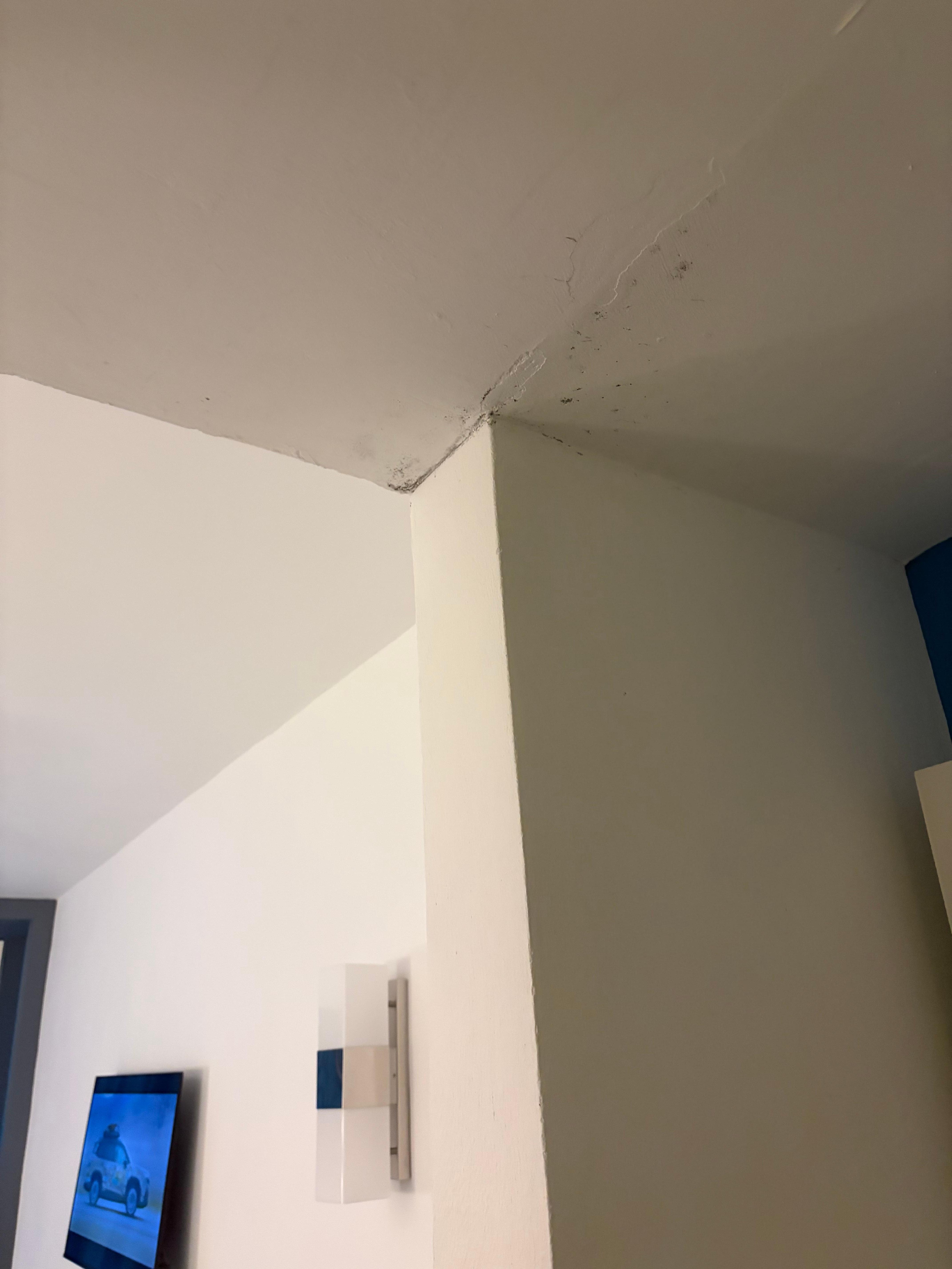 More mold in the bathroom