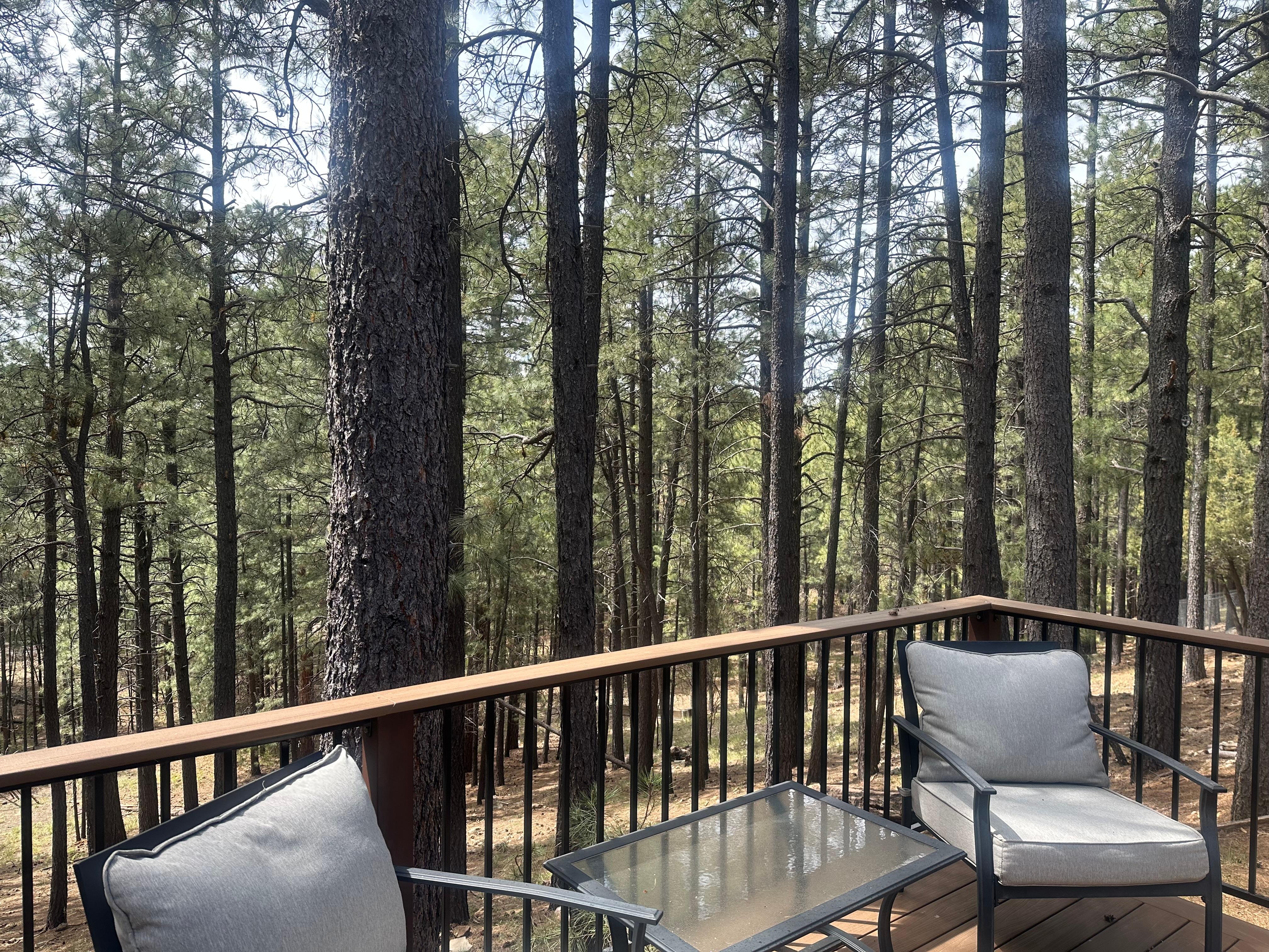 View from back patio