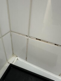 Bathroom tiles awful
