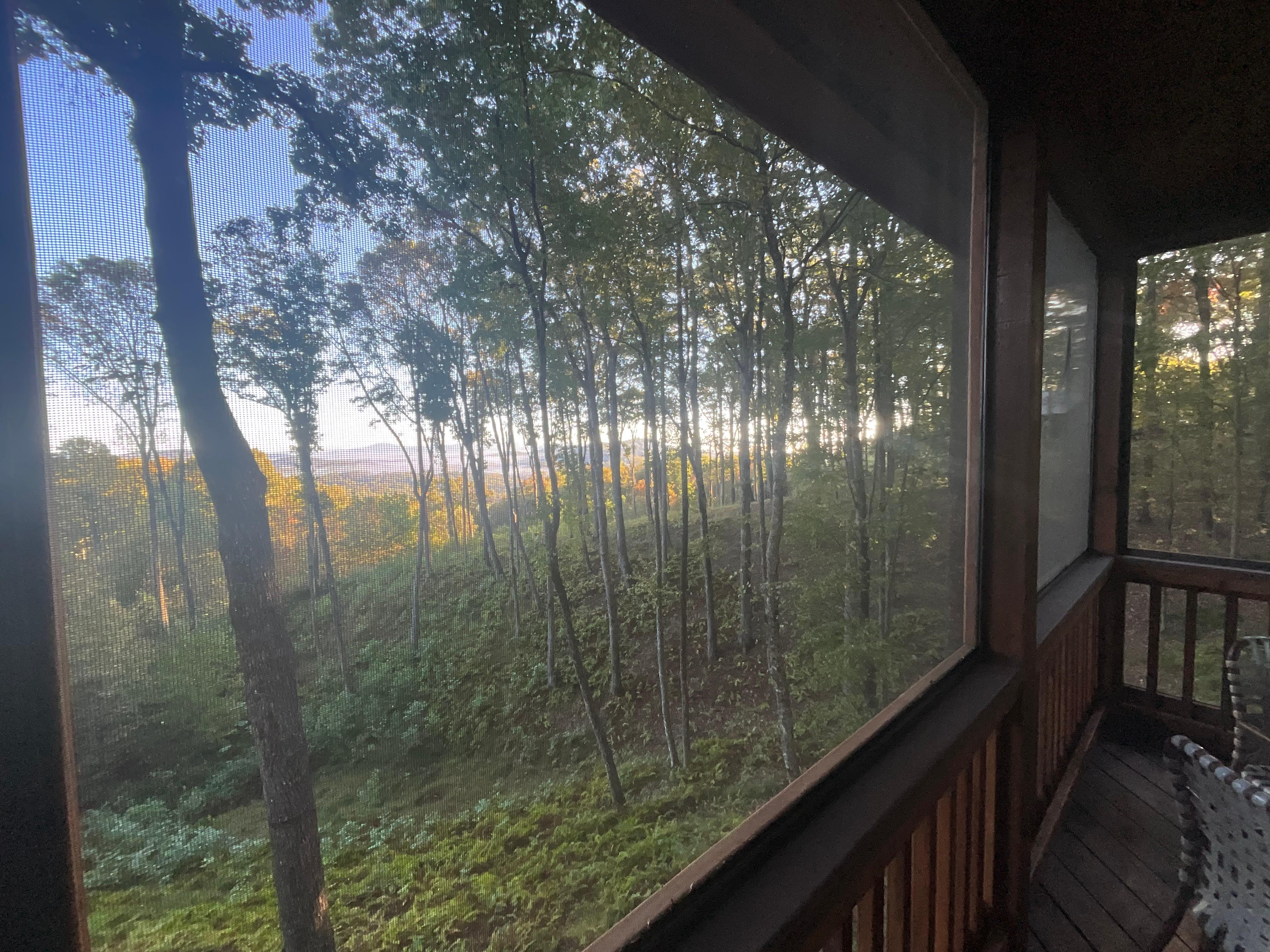 View from back porch / sunroom