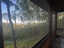 View from back porch / sunroom