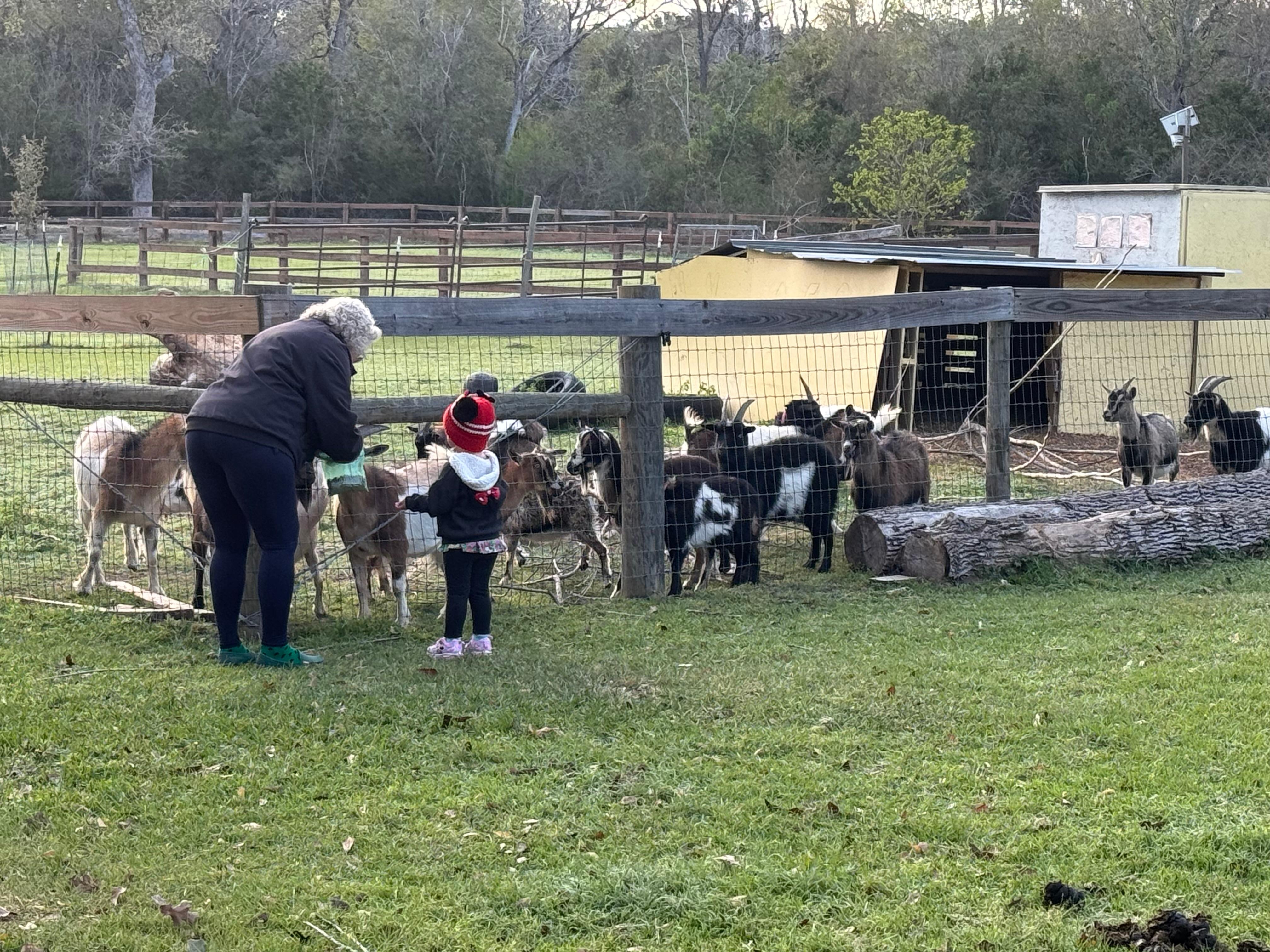 At the VRBO property 