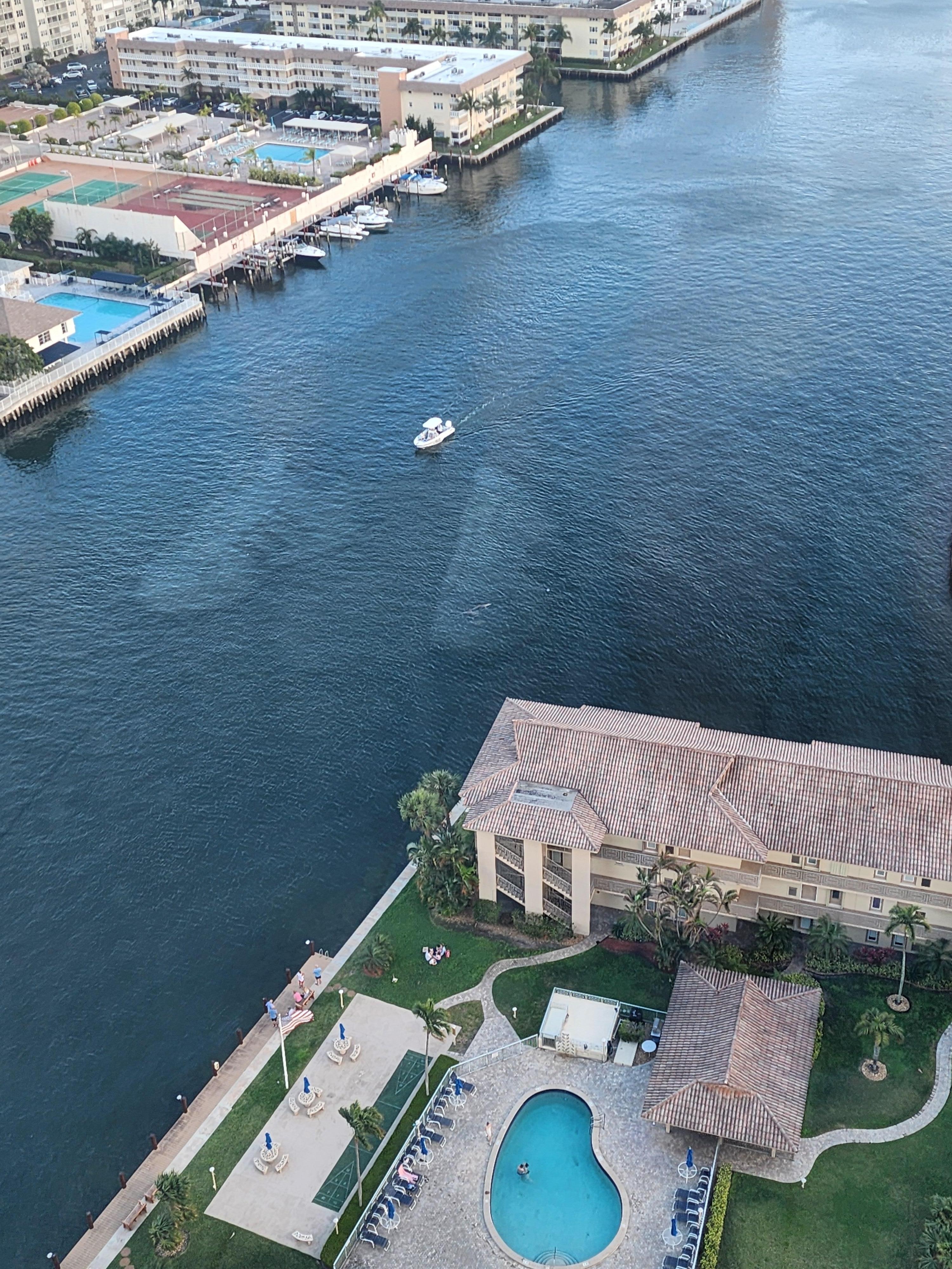 We could see dolphins from our balcony!