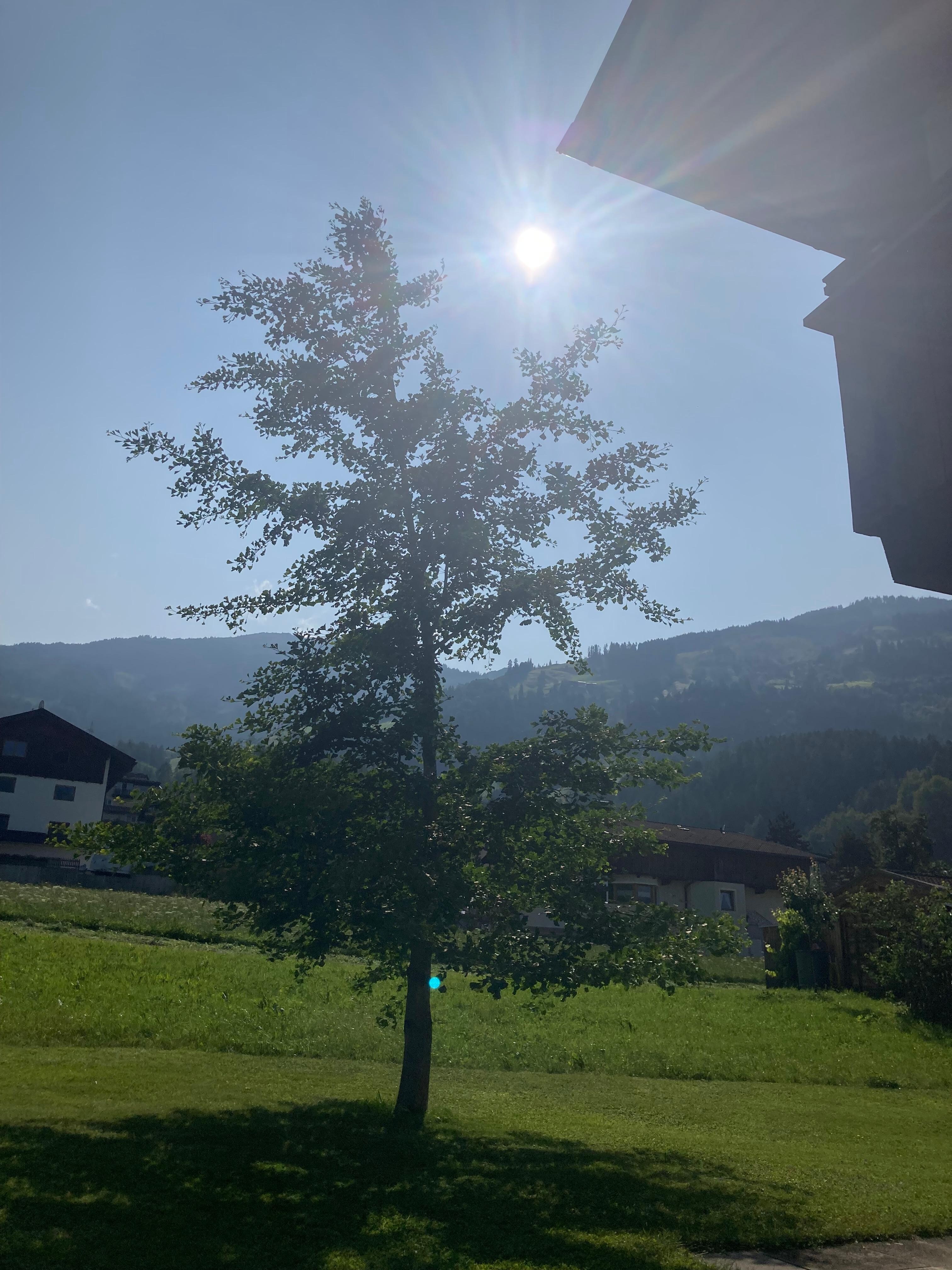Vom Balkon 