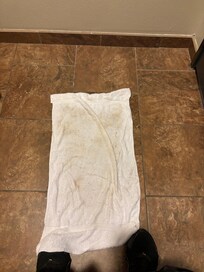 Clean a few ice cubes up towel was nasty from rug
