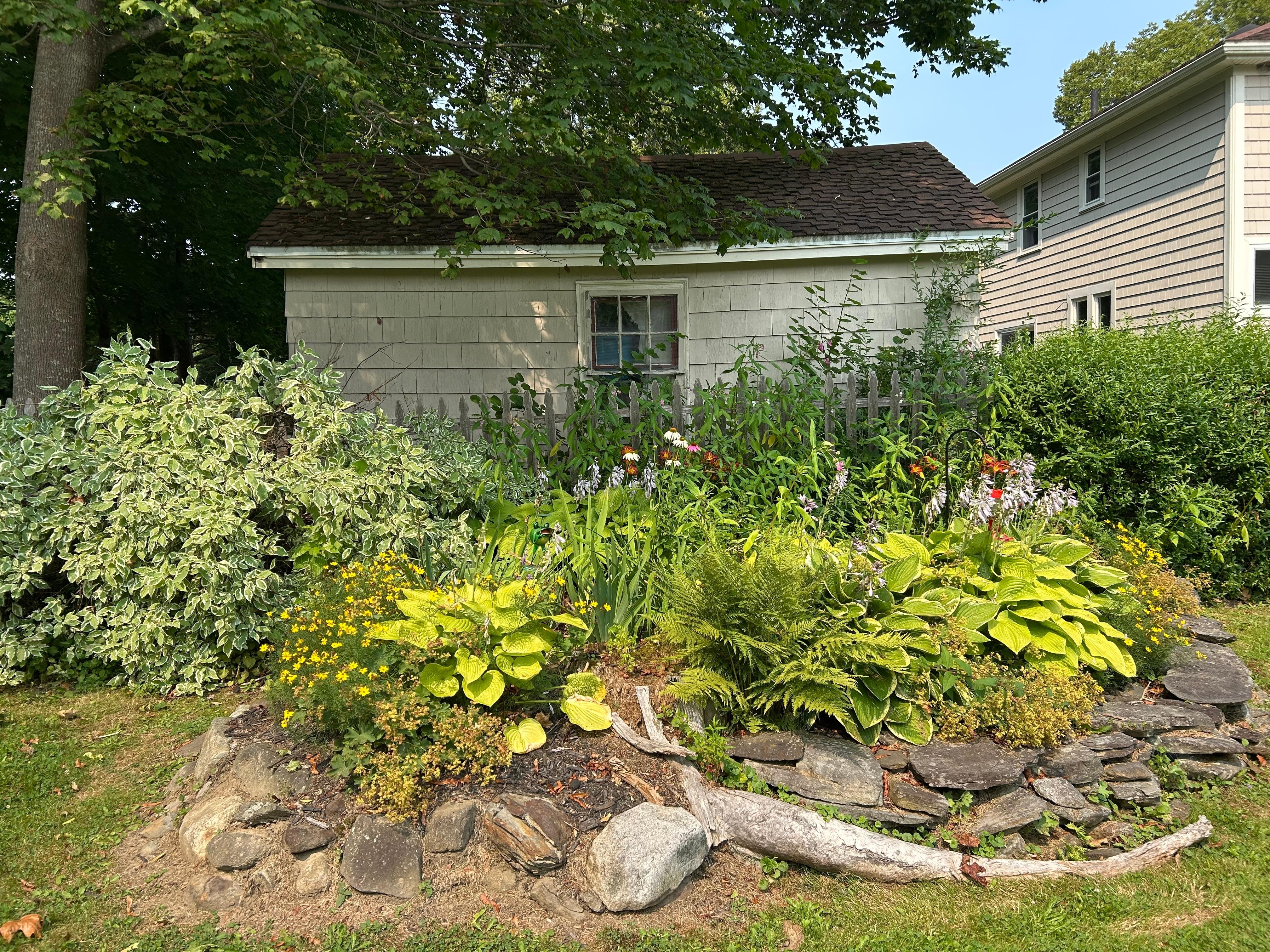 Flower bed in back yard.