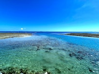 Snorkeling off foot island