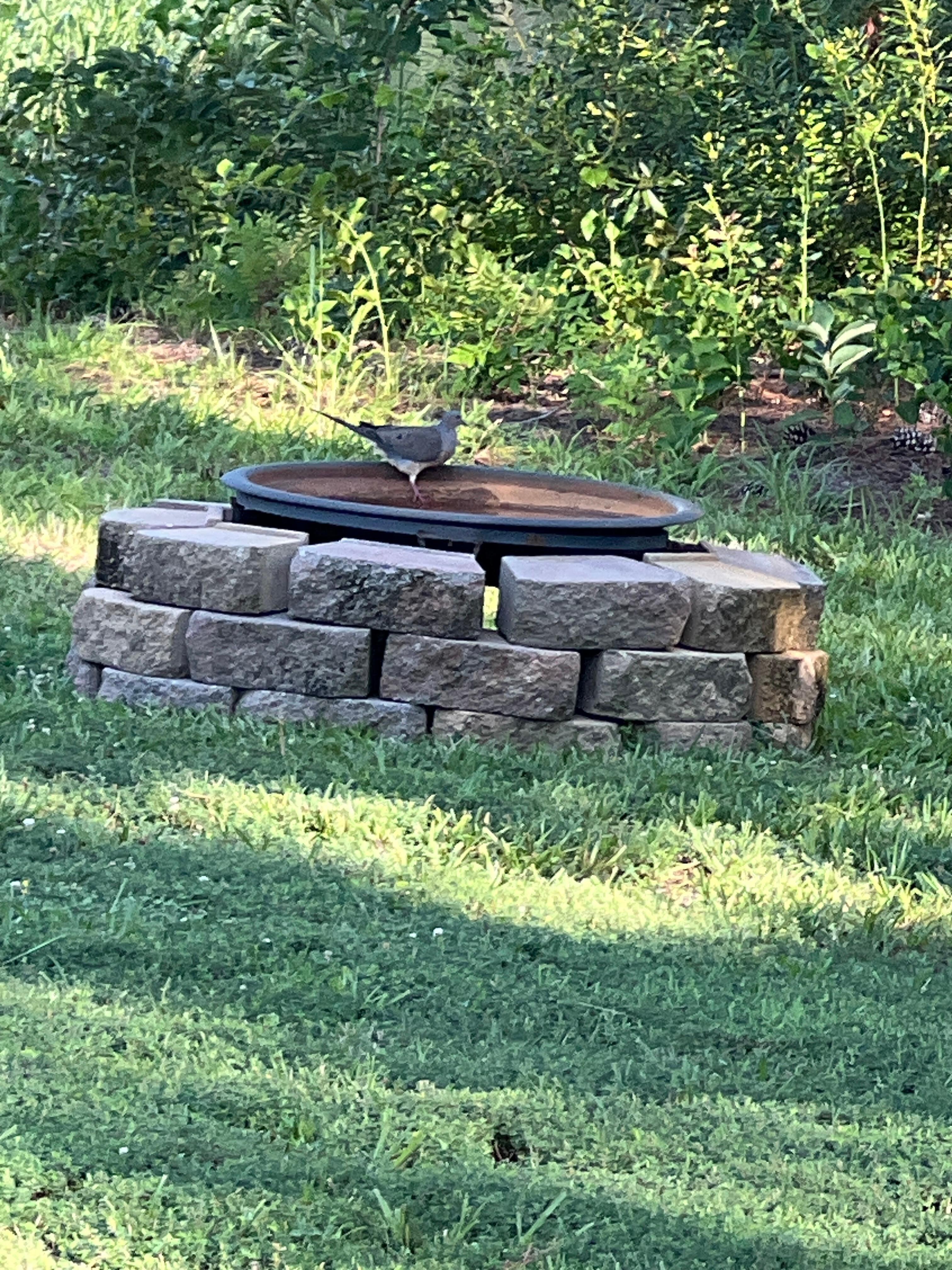 View from the patio