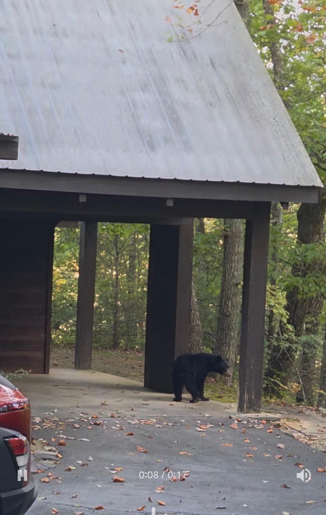 Other side of "bear watch" window 