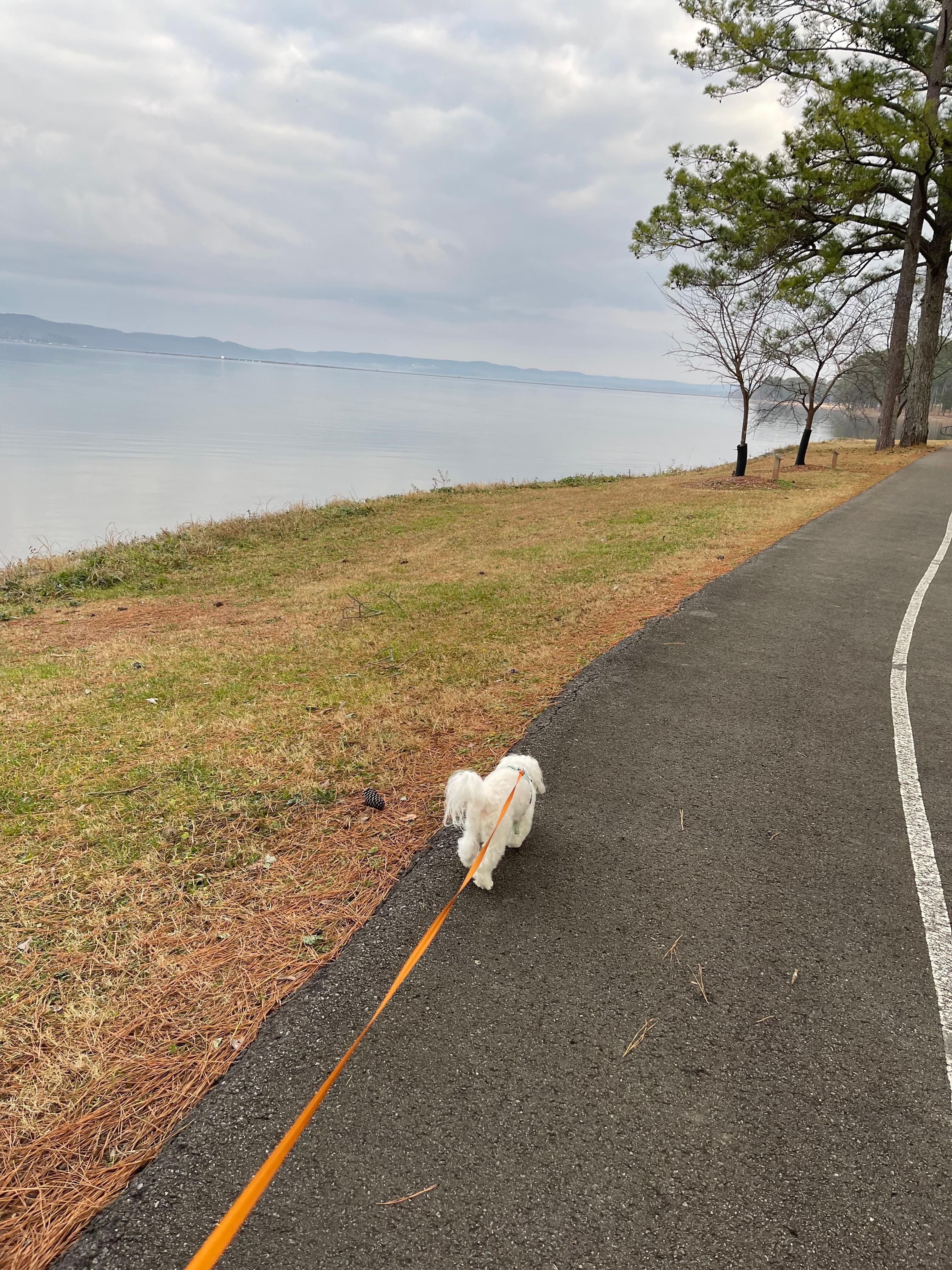 Barnabas loves the walking trail 