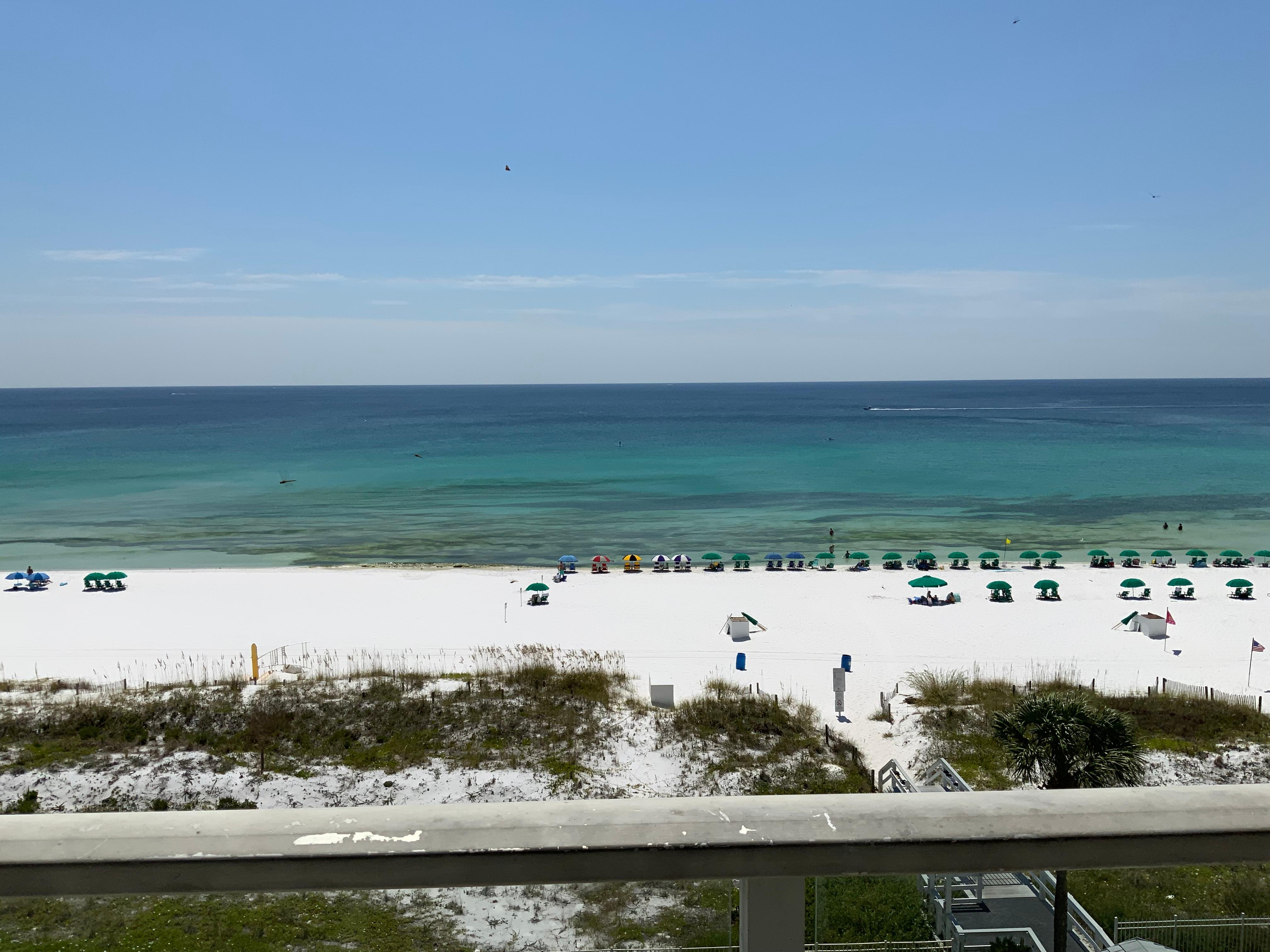 Our view from the patio