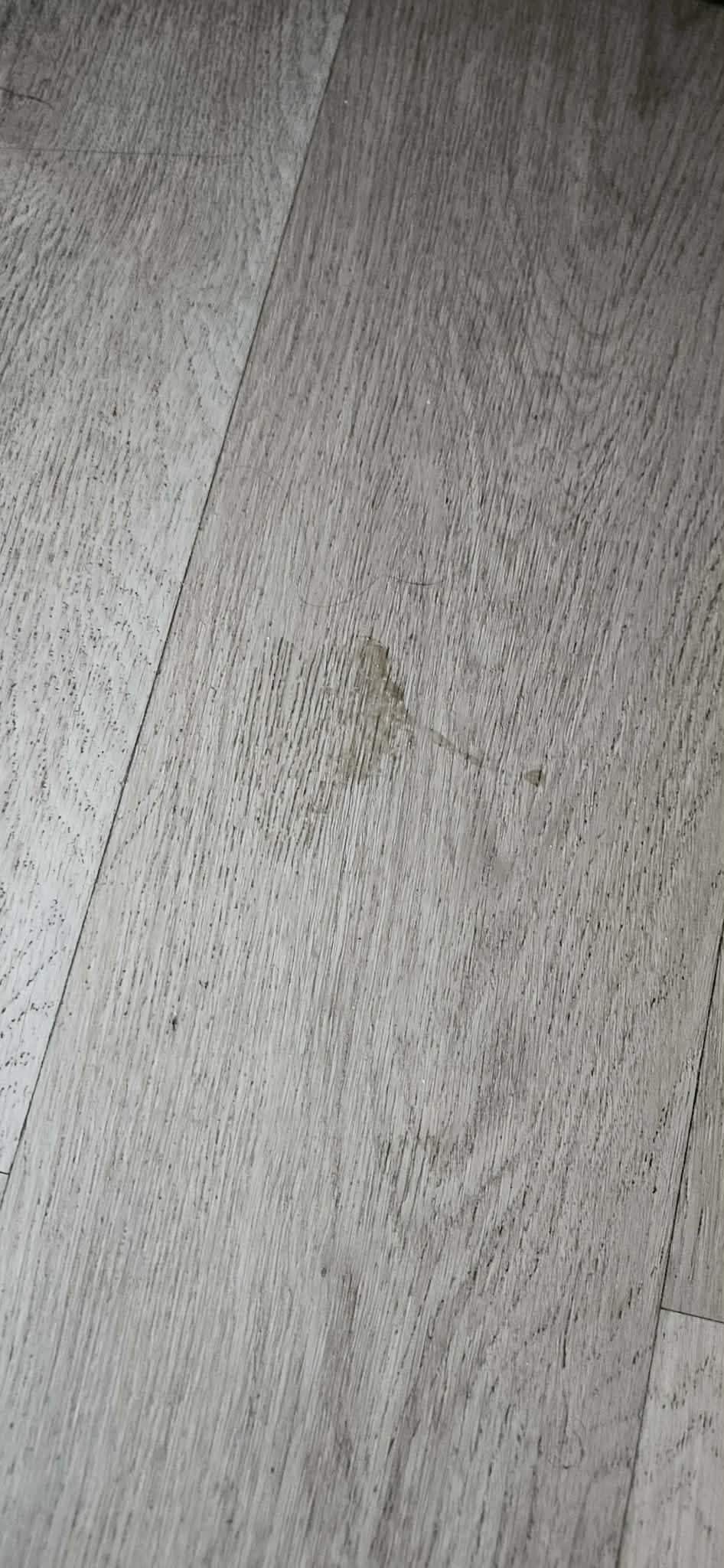 Unknown human stain on floor by bed. 