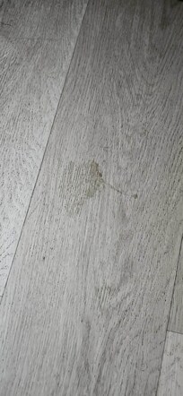 Unknown human stain on floor by bed.