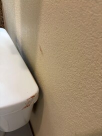 Blood on toilet tank and wall (no it’s not mine)