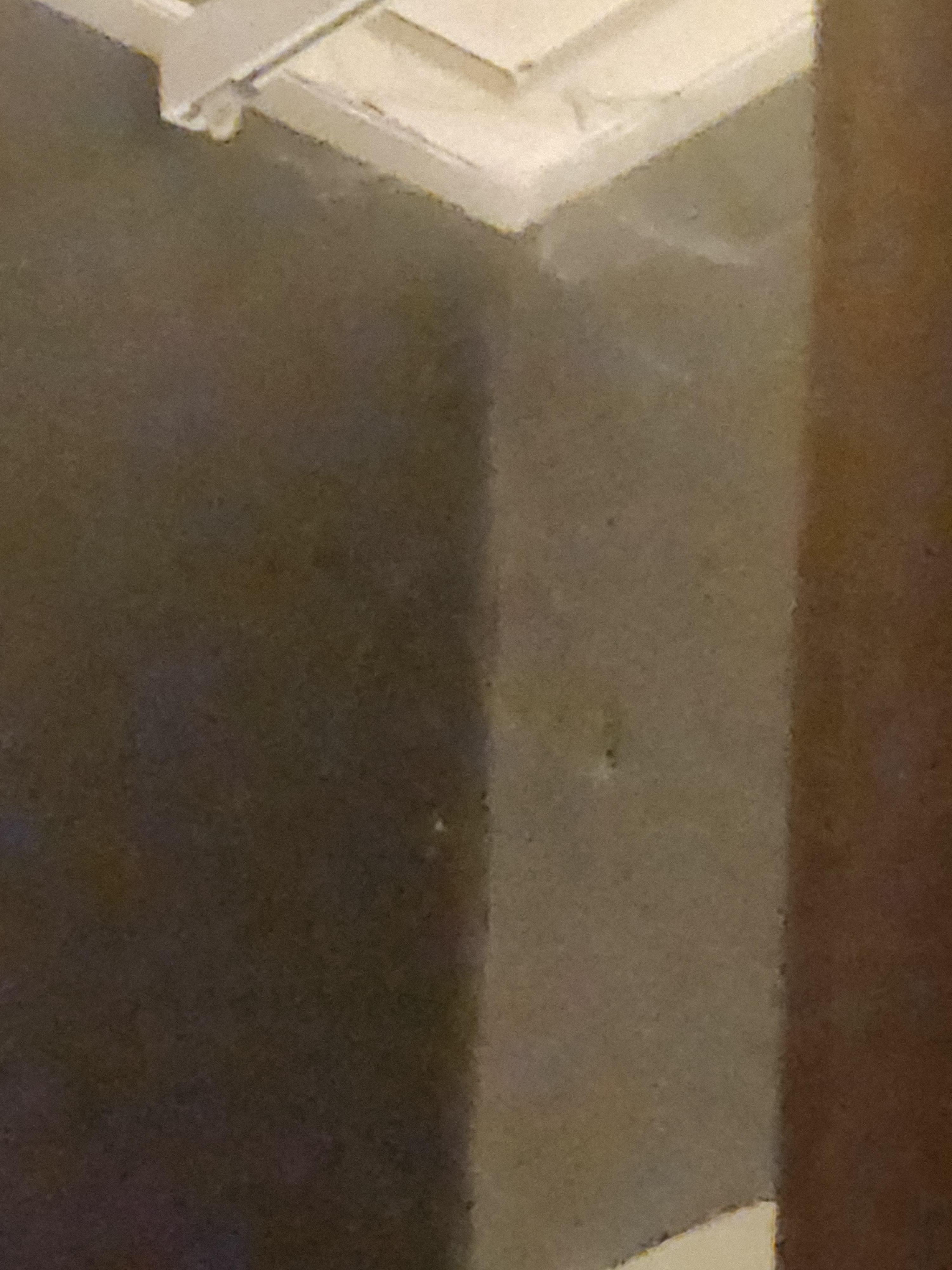 spider web in the corners 