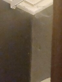 spider web in the corners