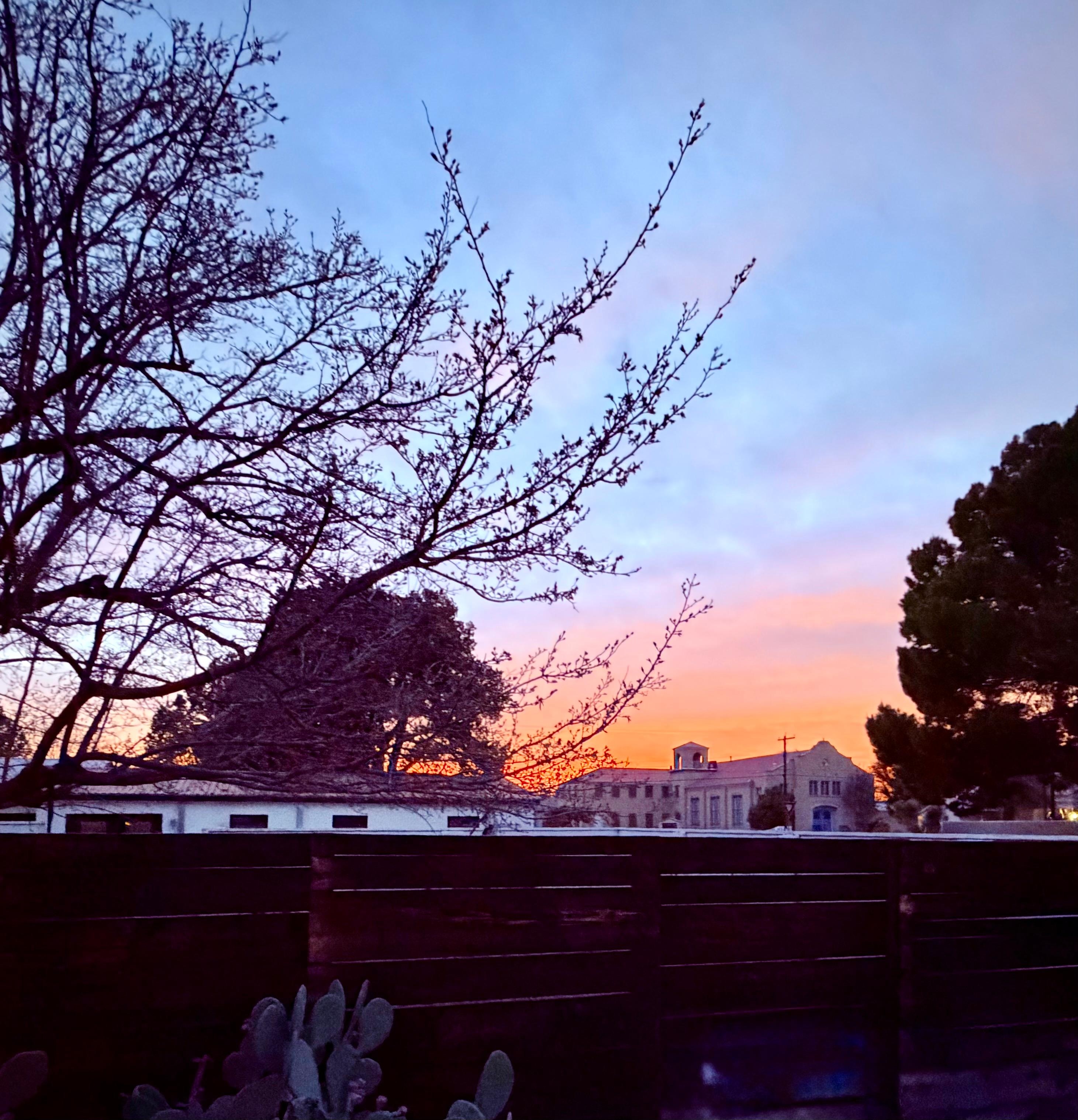 View of sunset from side garden