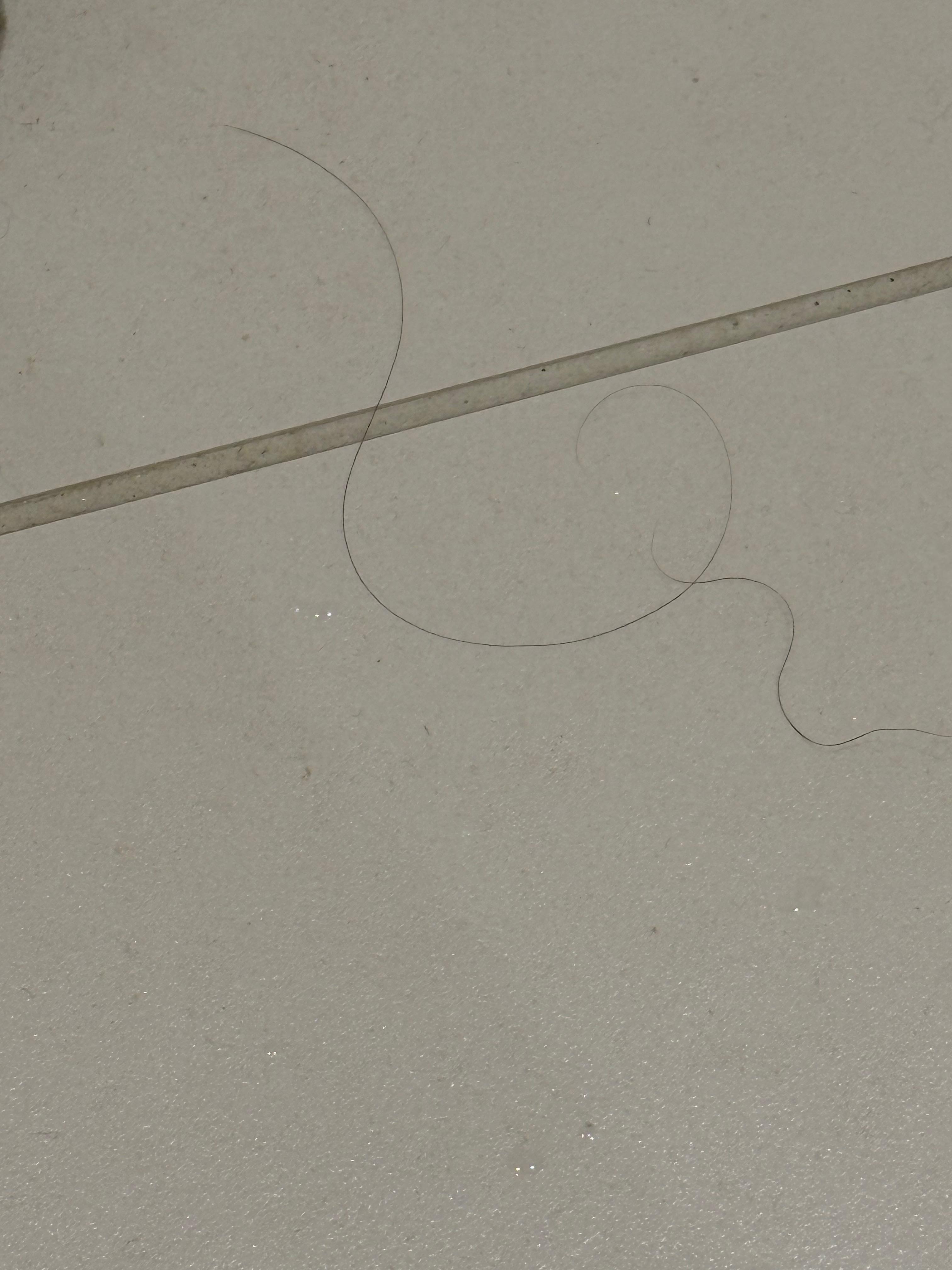 We have sort grey hair , not long black hair 