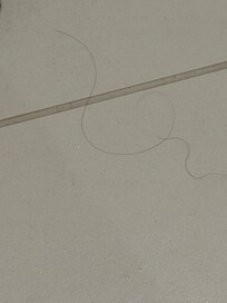 We have sort grey hair , not long black hair