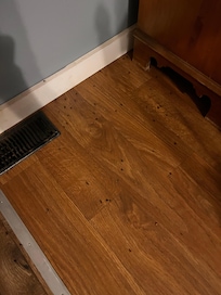 More flies by the door