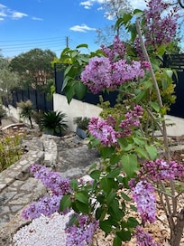 Springtime flowers at the villa