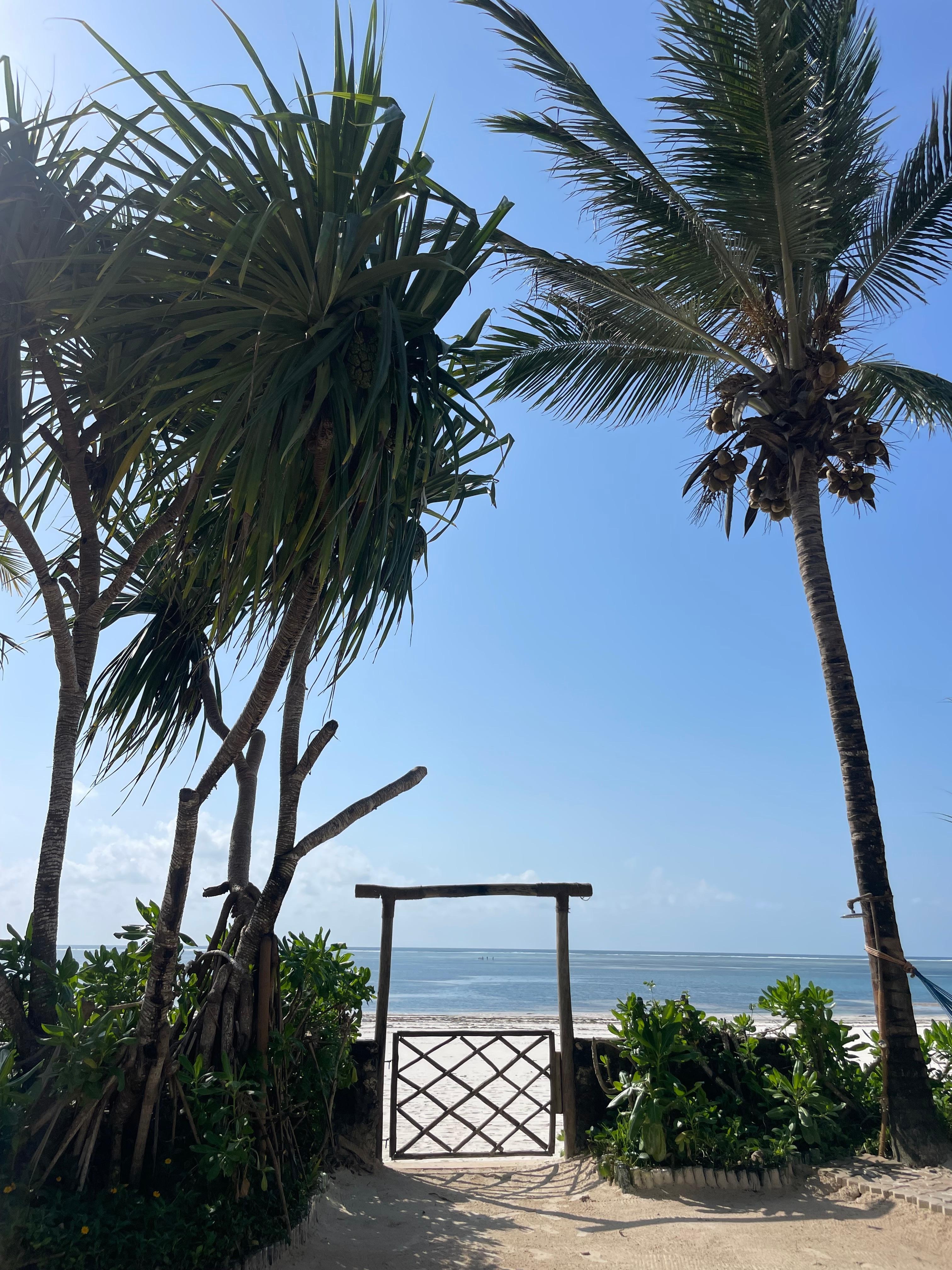 Direct access to the beach and ocean from the hotel
