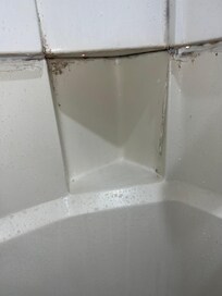 Mold in the cubby holes or stains?