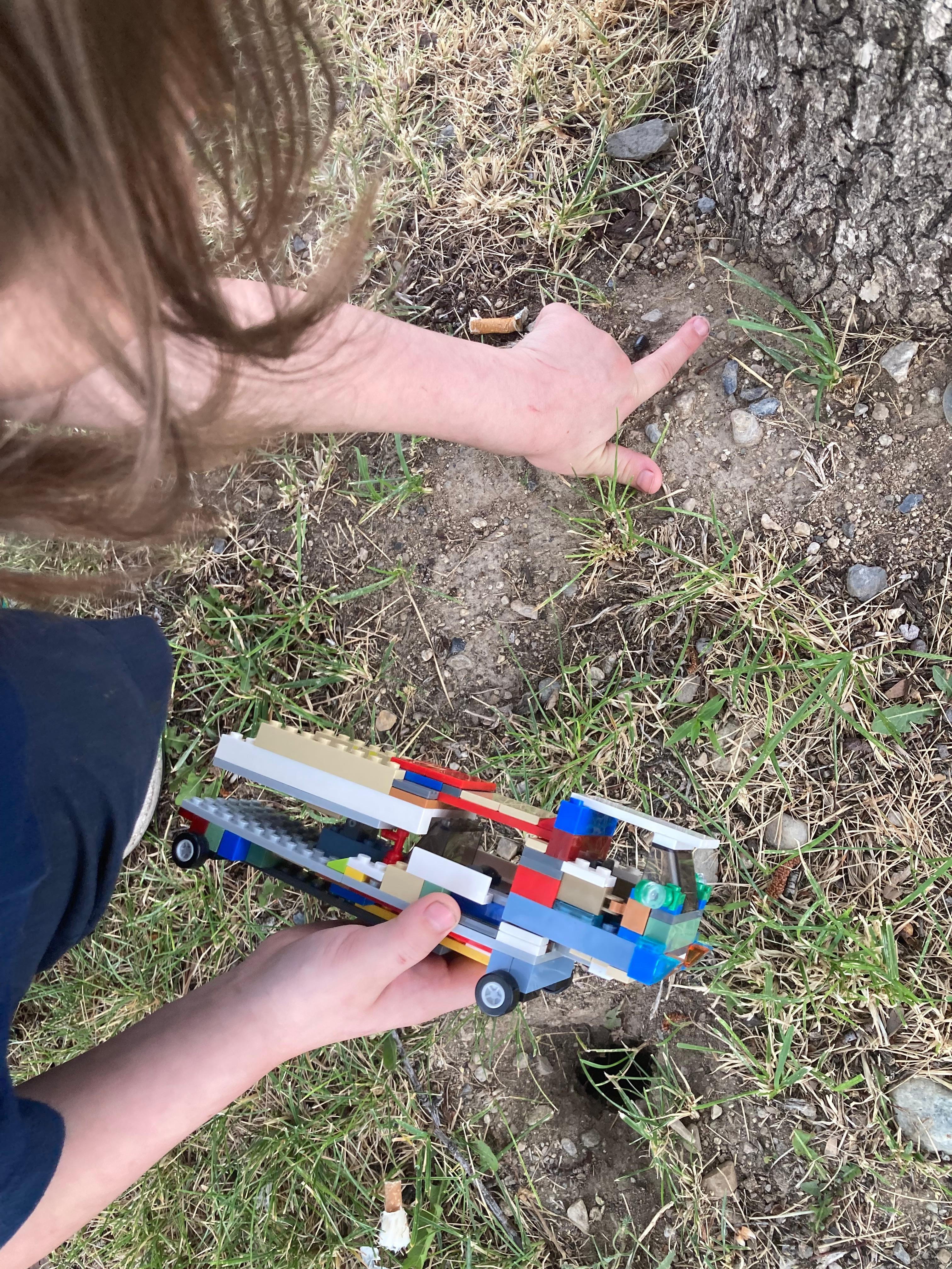 My grandson pointing to his Rollie pollie he let go back by one of the cottonwood tress