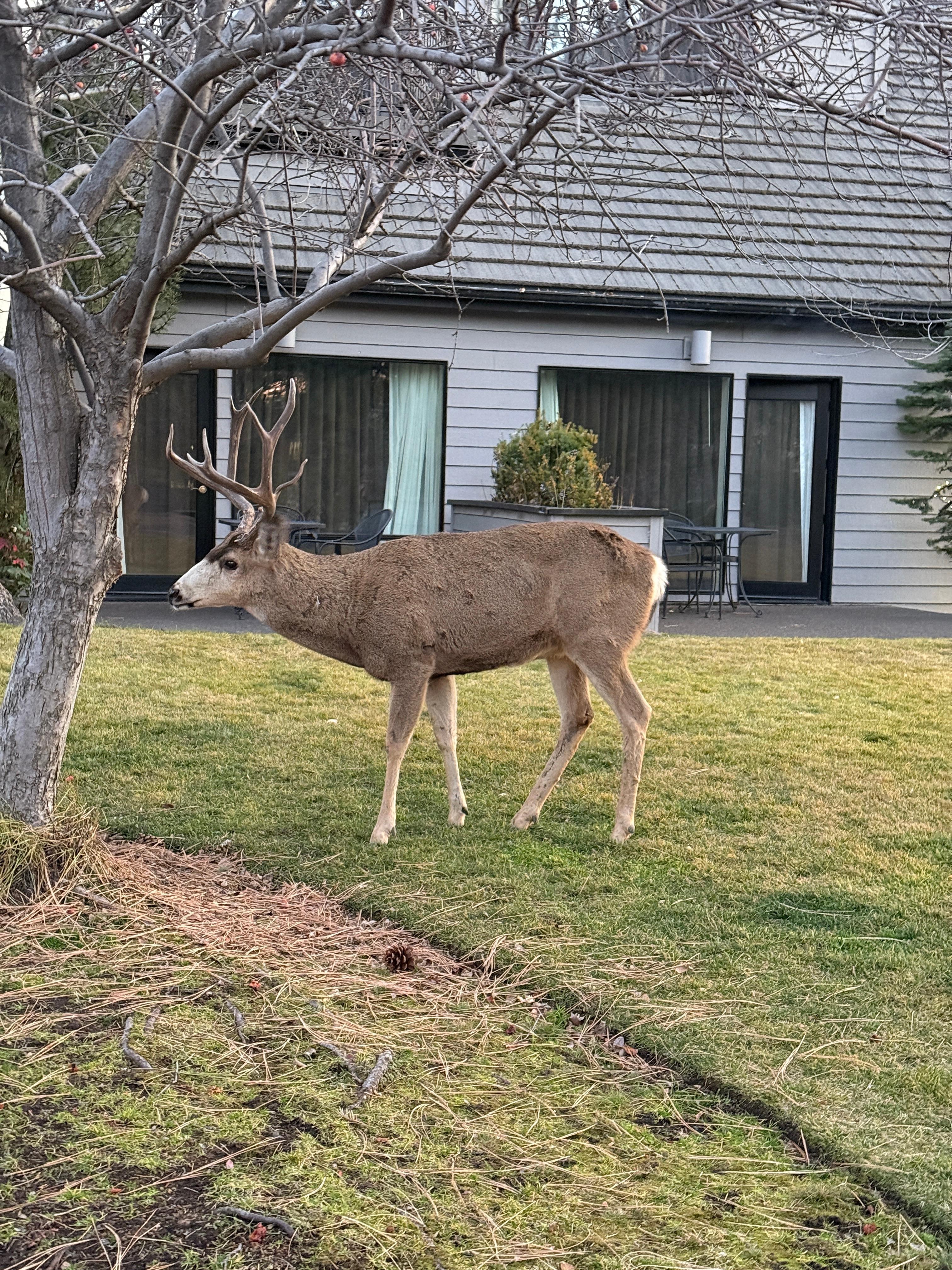 Welcoming party when we checked in!