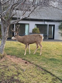 Welcoming party when we checked in!