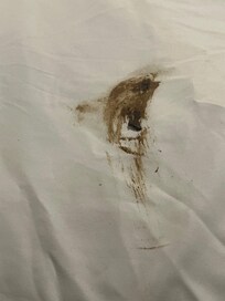 Soiled poop sheets in attic room