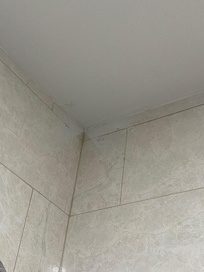 Mold