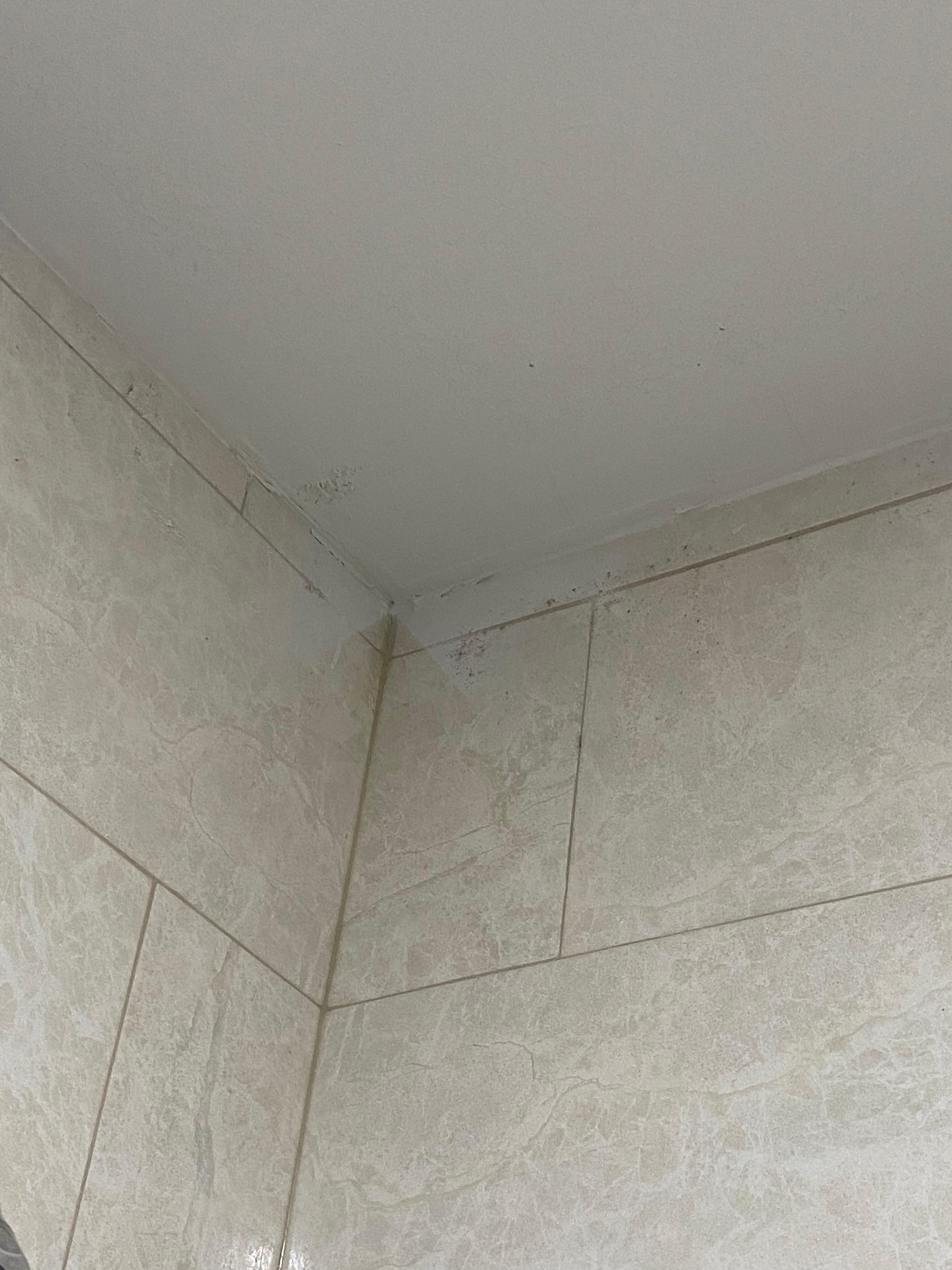 Mold 