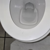 The toilet.