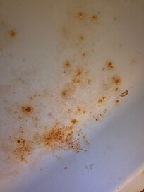 Mold. Old food splatter on top of microwave. Disgusting