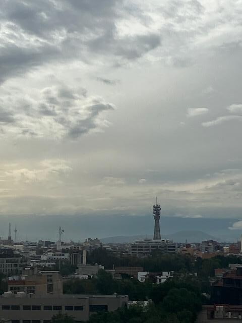 View from the room!