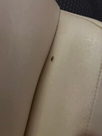 Baby roach coming out of headboard.